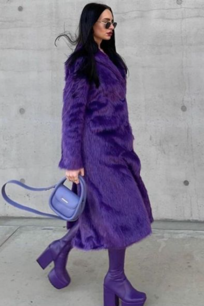 Royal Purple Winter Palette